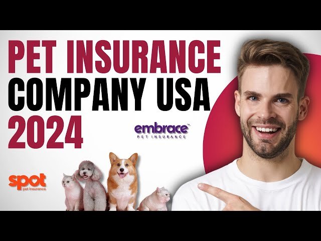 Top Pet Insurance Companies in the USA for 2024